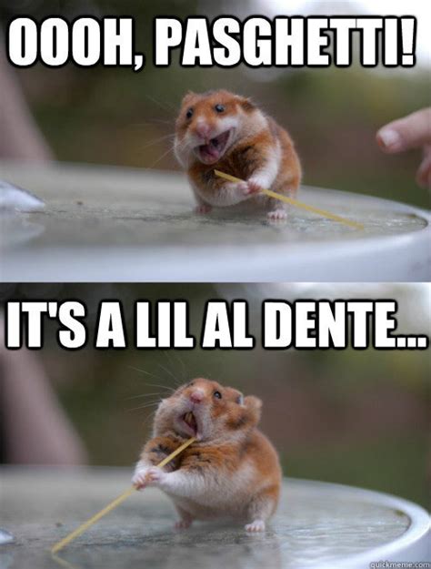 40 Very Funny Hamster Meme Images And Pictures