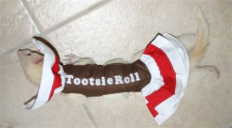 Diy Ferret Tootsie Roll Costume