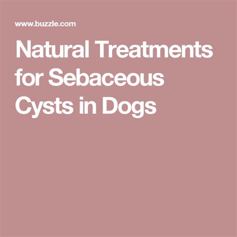 Natural Treatments For Sebaceous Cysts In Dogs Natural Treatments