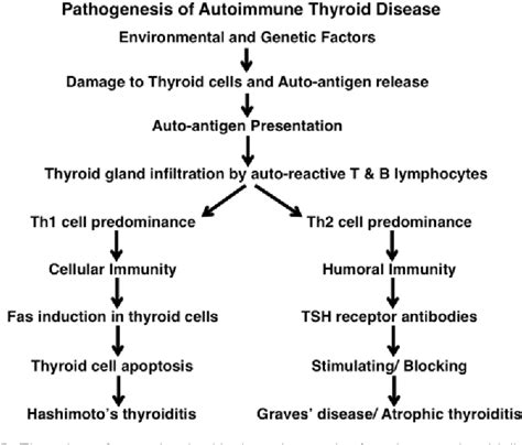 Pdf Autoimmune Thyroid Disease Mechanism Genetics And Current