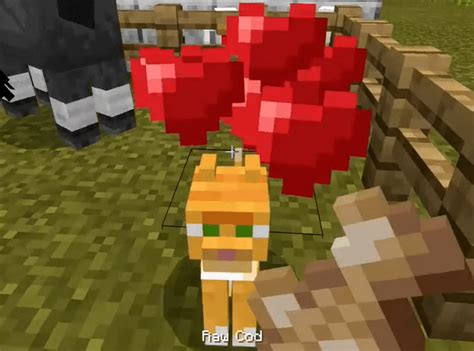 Cats are actually quite easy to find, and you'll be able to come across them, mostly in villages. How To Tame A Cat In Minecraft