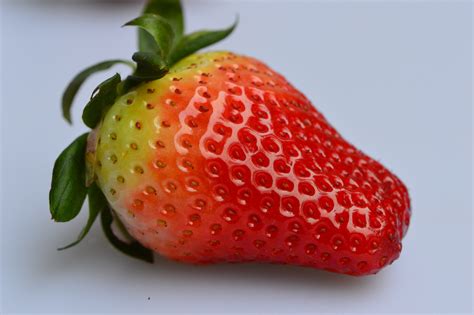 Half Ripe Strawberries Fruit Close Free Image Download