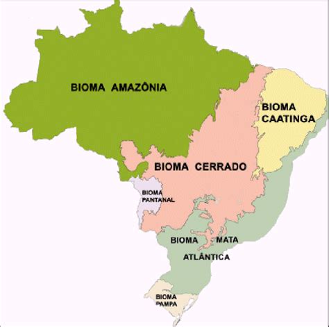 Mapa Dos Biomas Brasileiros De Acordo Com O Ibge 2004 Download