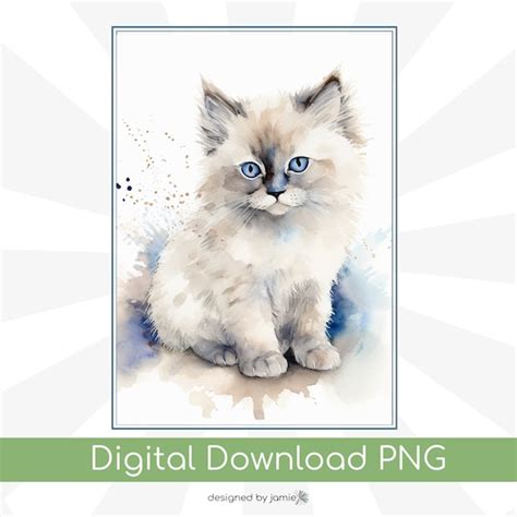 Ragdoll Cat Painting Etsy