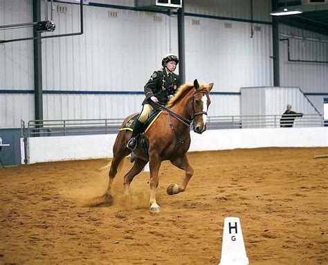 Local mounted police officer places in Top 10 at national competition ...