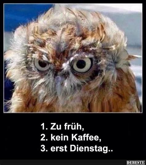 Bild kostenlose spiele auf woxikon » smilies und gifs · ich mag nicht fliegen 20 39 lustige bilder » tiere verrückte bilder! Zu früh, kein Kaffee, erst Dienstag.. | Lustige Bilder ...