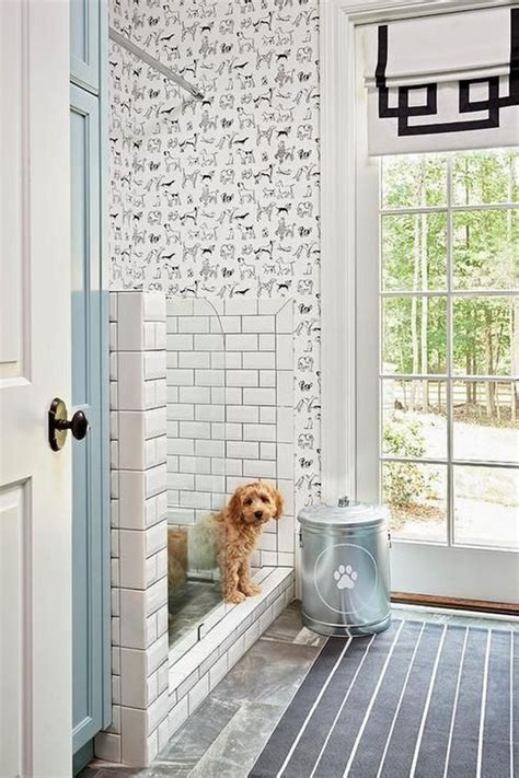 34 Dog Washing Station Ideas That Pet Will Like Homemydesign