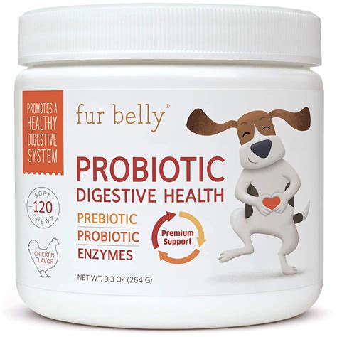 4 All Natural Probiotics For Dogs We Love The Pets Digest