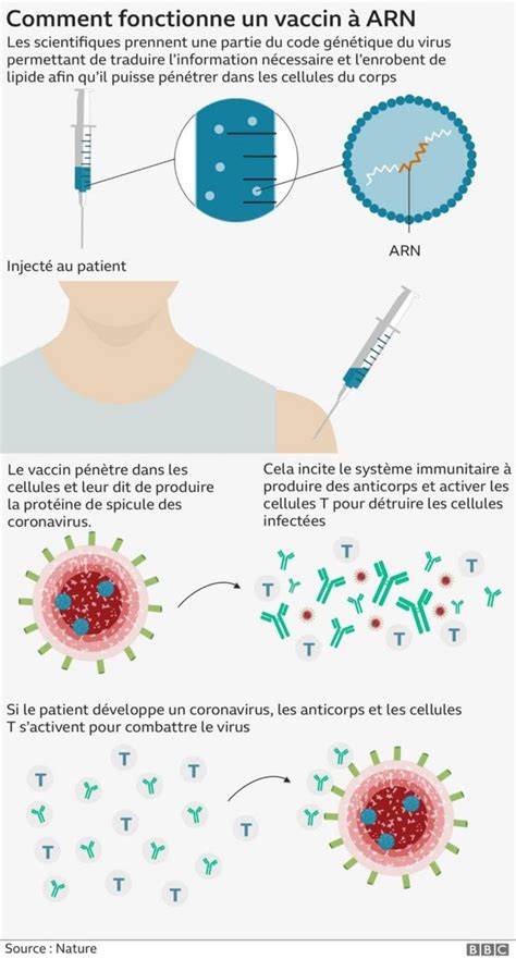 Vaccin Contre Le Coronavirus De Pfizer 9 Questions Sur Son