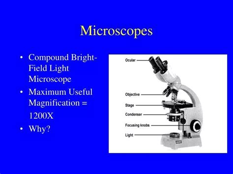 Which Microscope Achieves The Highest Magnification And Greatest