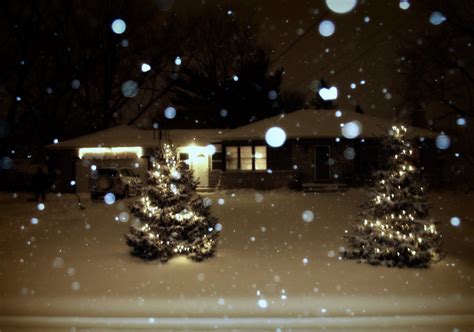So there's three of us, four of them, and more snow coming. Christmas Lights & Falling Snow | This is the house I grew ...