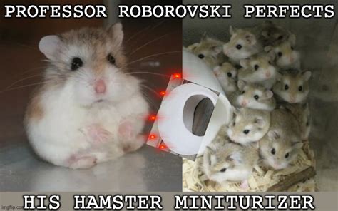 Hamster Science Imgflip