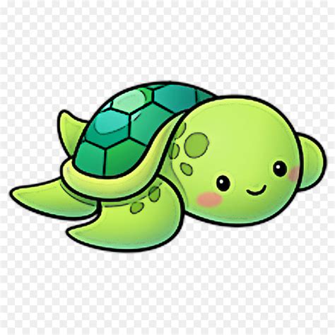 Top 155 Cartoon Turtle Png