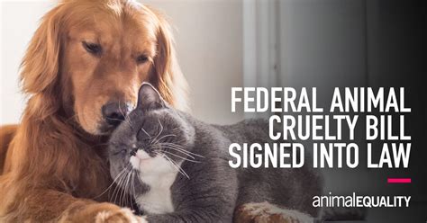 Federal Animal Cruelty Bill Signed Into Law Animal Equality