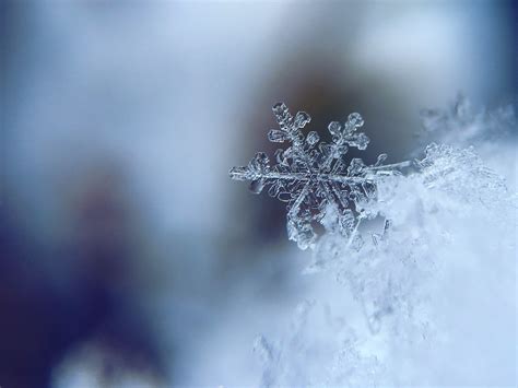 Researchers Develop First Ever 3d Numerical Model Of Melting Snowflake