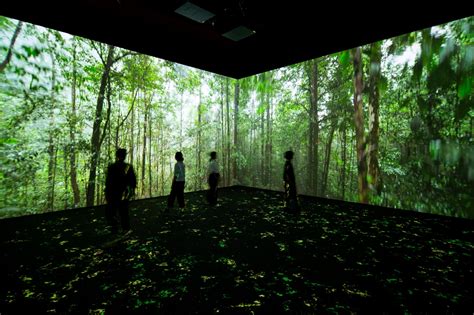 Sensory Odyessy Art Science Museum