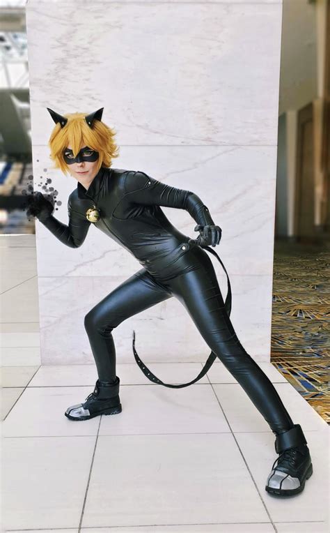 Chat Noir Cosplay Help Costplayto