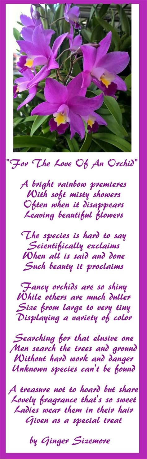 Poem About Love For Orchid Flowers Orchid Flower Love Poems Orchids