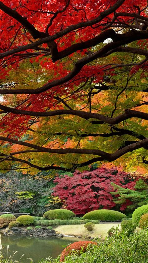 Beautiful Garden Lake On Autumn Fall Season Iphone Wallpapers Tap To