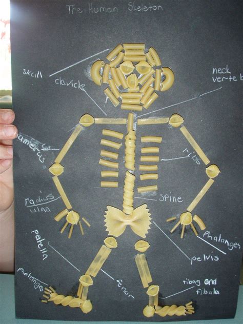 Art And Craft Relief Teaching Ideas Relief Teaching Ideas Skeleton