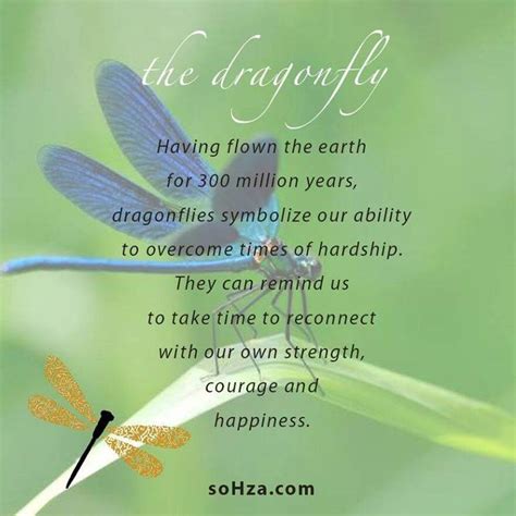 Dragonfly Quotes Meant To Be Quotes Dragonfly Meaning