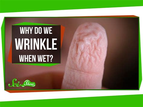 A Simple Explanation Of Why Our Fingers And Toes Wrinkle In Water