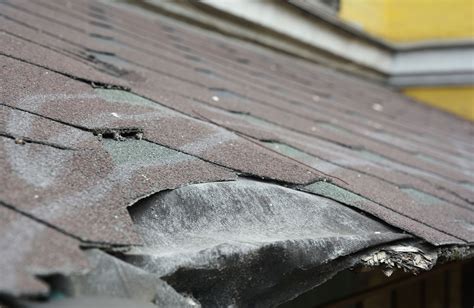 Are Asphalt Shingles Bad For The Environment Rps Metal Roofing