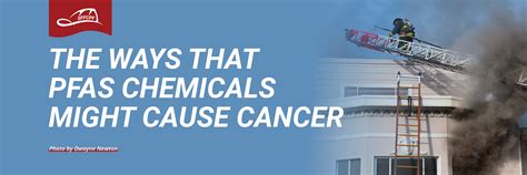 The Ways That Pfas Chemicals Might Cause Cancer San Francisco