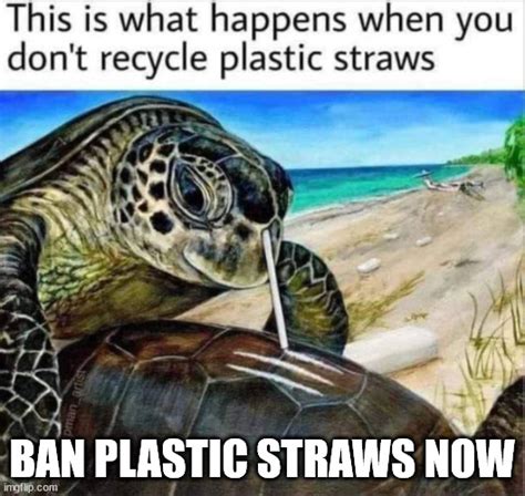 Plastic Straws Kill Imgflip