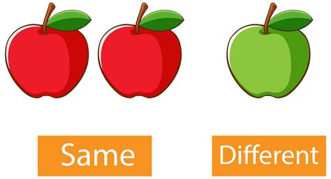 Opposite Adjectives Words With Same And Different Vector Art At