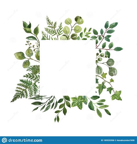 Watercolor Greenery Foliage Frame On White Background Fresh Lush Herbs