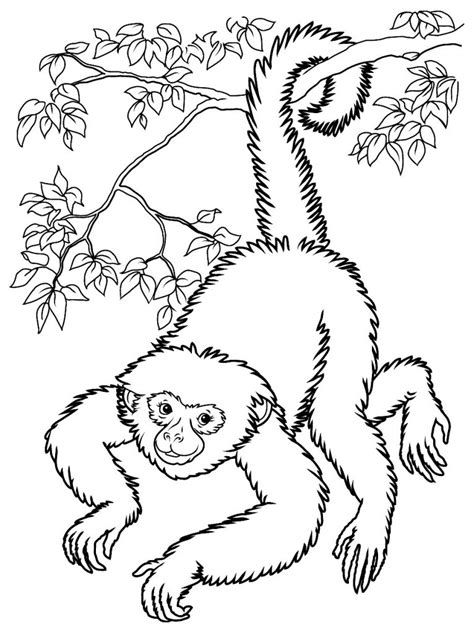 Monkeys To Print For Free Monkeys Kids Coloring Pages Free