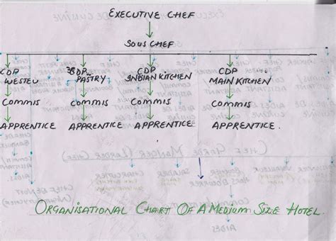 Kitchen organisation chart 5 star hotel. FYCHEFS: ORGANISATION CHART OF A MEDIUM SIZE HOTEL
