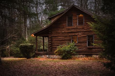 Free Photo Brown Cabin In The Woods On Daytime Architecture Light