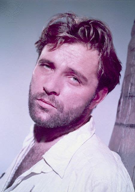 Richard Burton Actors Male Celebrities Male Actors And Actresses Vintage Hollywood Classic