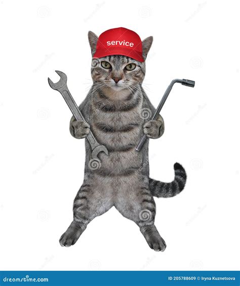 Cat Gray Mechanic With Wrenches Stock Image Image Of Background