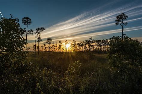 Everglades Sunset Photograph By Jim Cole Fine Art America