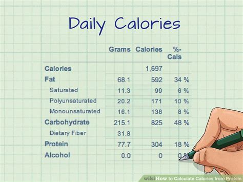 How To Calculate Calorie Intake And Output Haiper