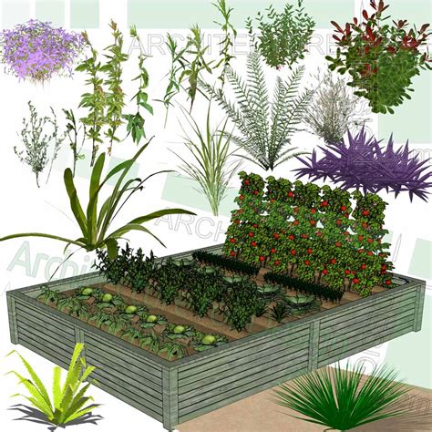 Trees Shrubs And Flowering Plants Sketchup Models Free Download