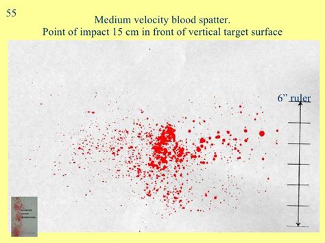 Blood Spatter Patterns