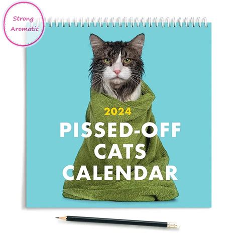 Stro Funny Cat Wall Calendar Family Organiser Calendar Pissed Off Cats Calendar Funny