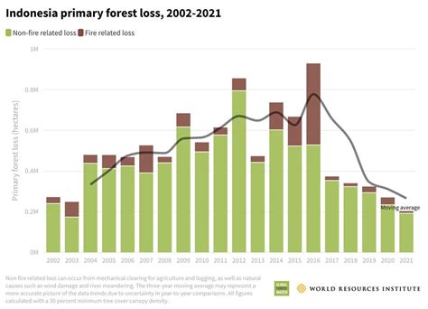 Deforestation In Indonesia Earth Org