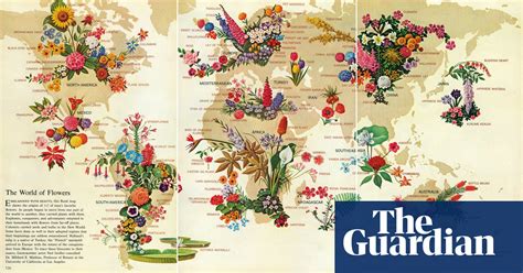 A Century Of National Geographic Infographics In Pictures Art And Design The Guardian