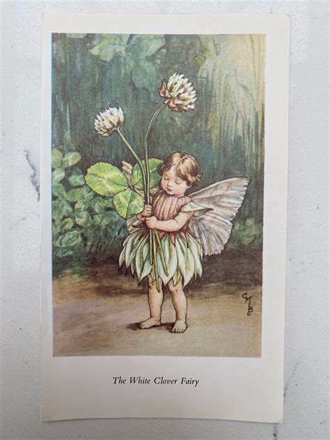 Vintage White Clover Flower Fairy Print By Cicely Mary Barker Etsy