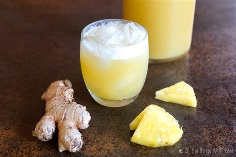 How To Make A Ginger Bug Oh The Things Well Make