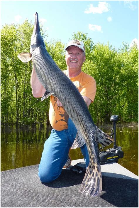OTTAWA RIVER GAR RISES & SETS. | Bunks Outdoor Angle