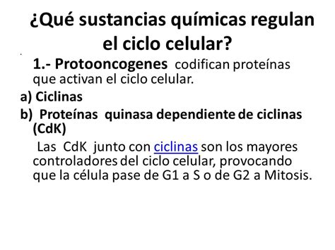 El Cancer Y Su Relacion Con La Reproduccion Celular Consejos Celulares My XXX Hot Girl