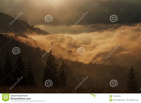 Incredibly Beautiful Foggy Dawn In The Mountains Stock Image Image