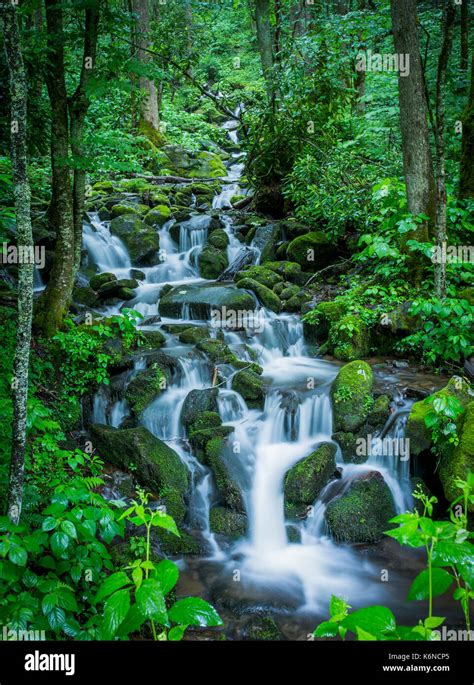 Stream Water Scenery Hi Res Stock Photography And Images Alamy