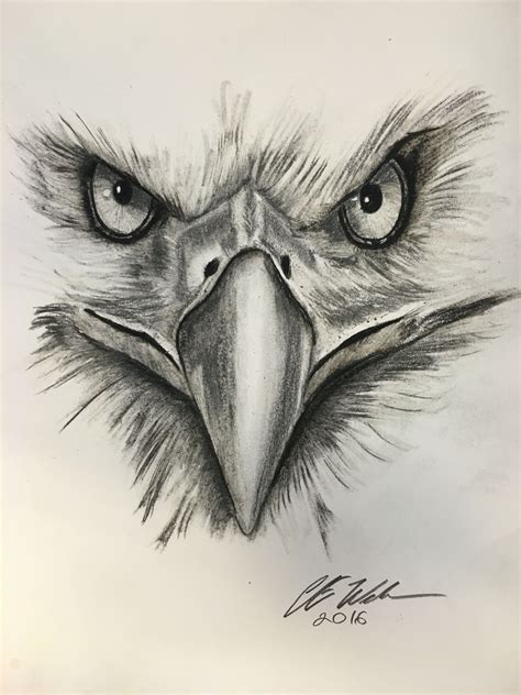 Eagle Eyes Más Drawing Images Pencil Art Drawings Bird Drawings Cool